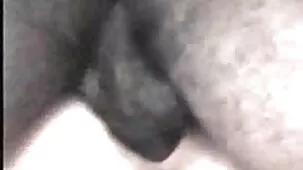 Morena rizada y su marido organizan shows privados todos los fines de tetonas calientes follando semana